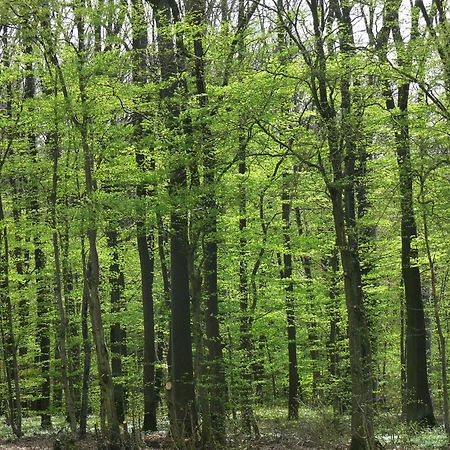 Ferienwohnungen Fischer Strullendorf Экстерьер фото